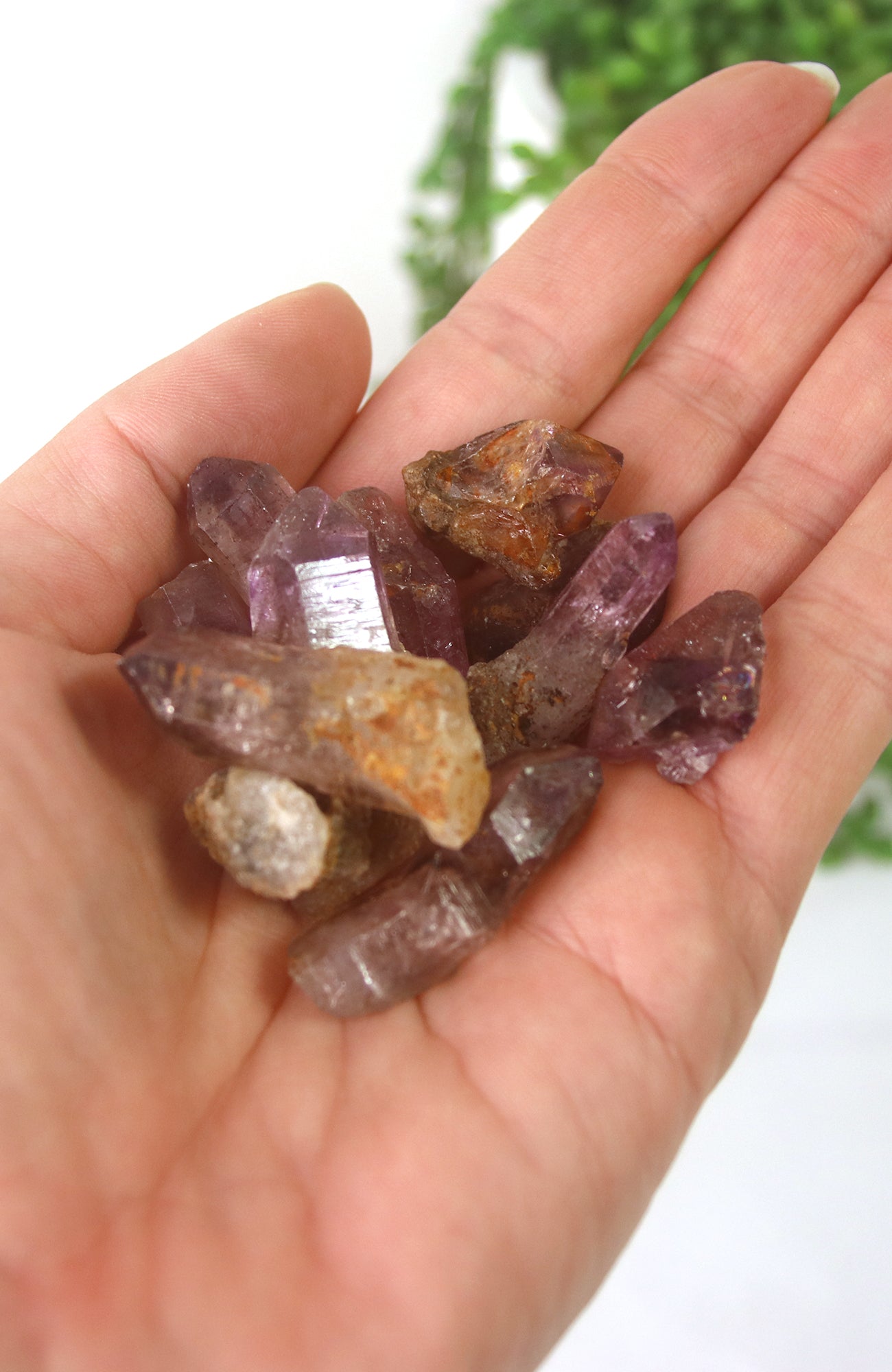 Chiredzi Amethyst Specimens